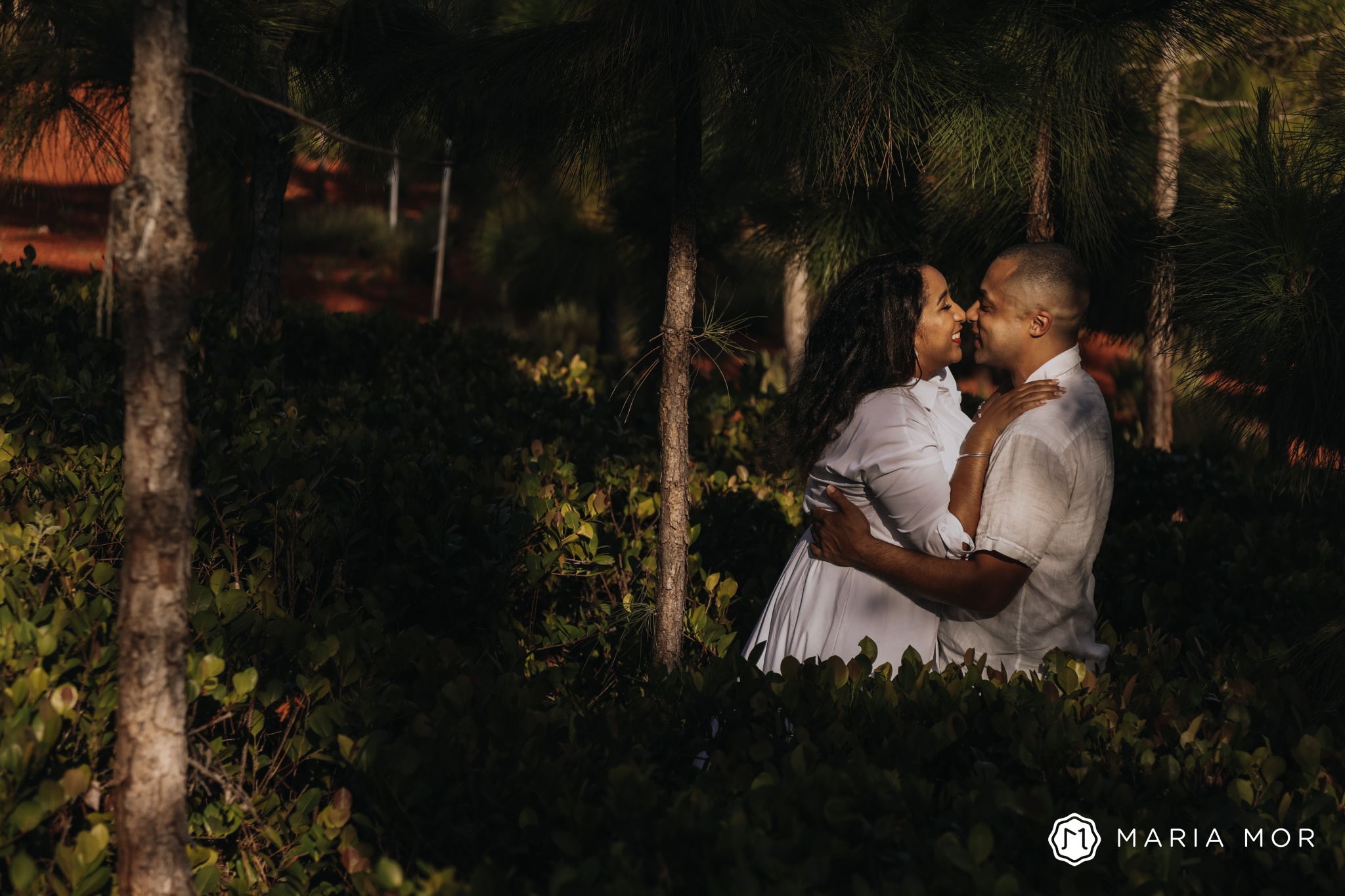 love and engagement shoot